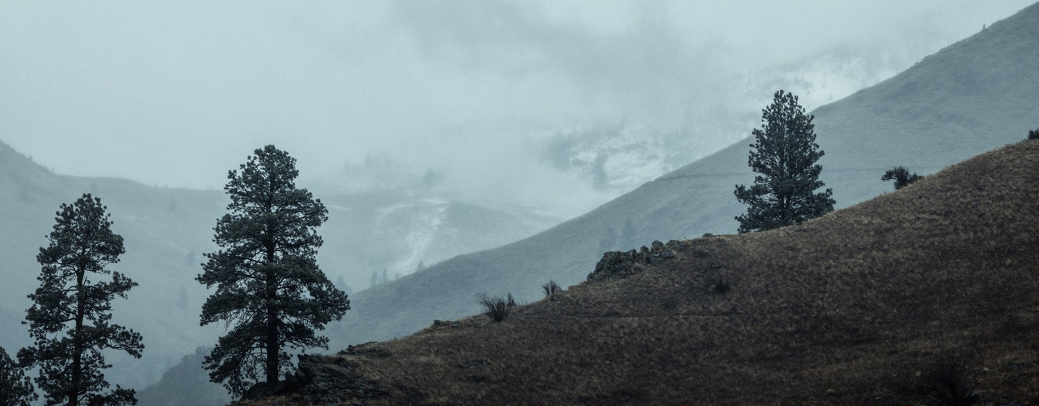 Hand-Picked Gifts Under $100 - Eberlestock