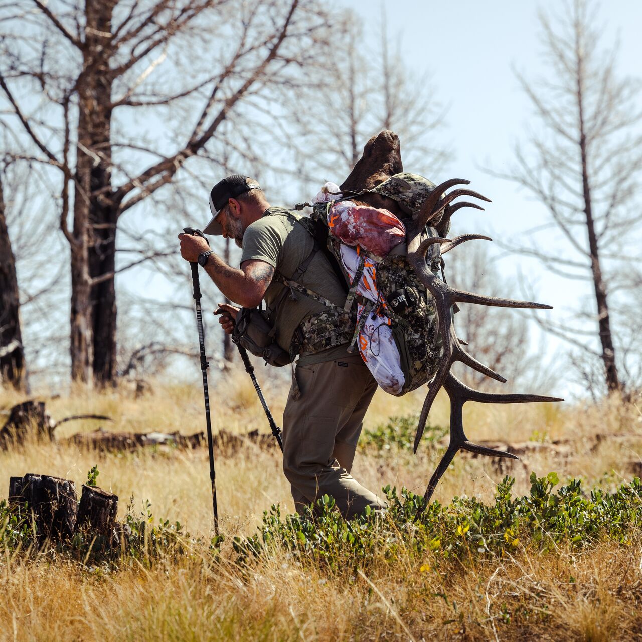 Elk on sale hunting backpack