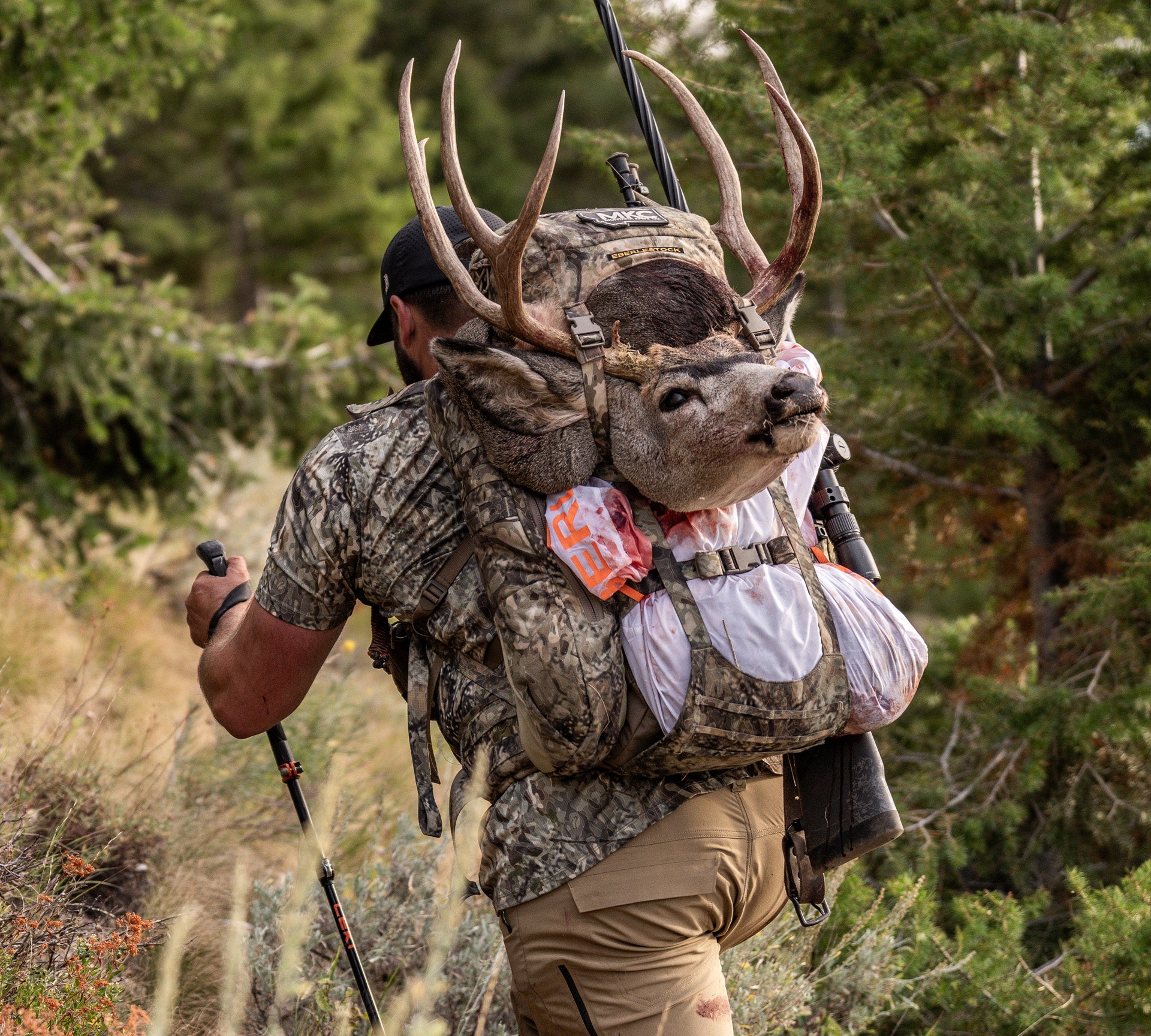 Best frame clearance packs for hunting